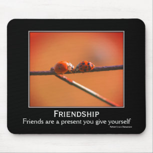 Vänskap Ladybugs inspirationskälla Musmatta