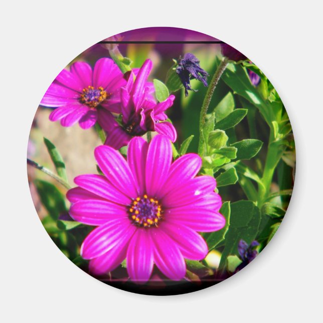 Vänskap Magnet (Framsidan)