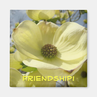 Vänskap! magnetpresenter Gula Dogwood Blommor Magnet