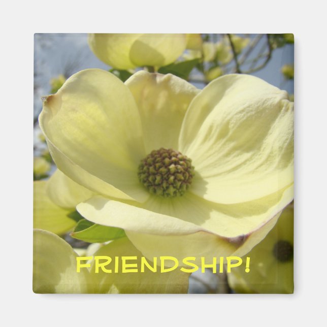 Vänskap! magnetpresenter Gula Dogwood Blommor Magnet (Framsidan)