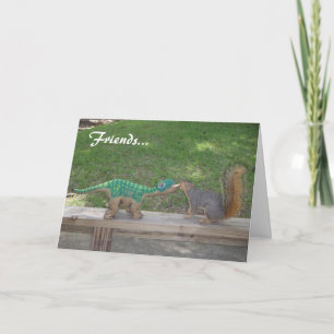 Vänskap och nöt kort