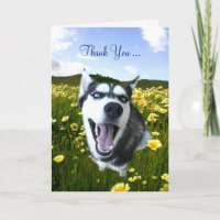 Vänskap Tack med Cute Husky Flowers