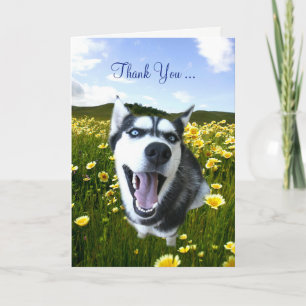 Vänskap Tack med Cute Husky Flowers Kort