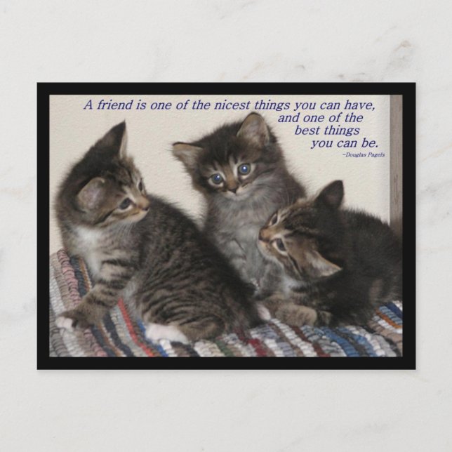 Vänskap vykort (Framsida)