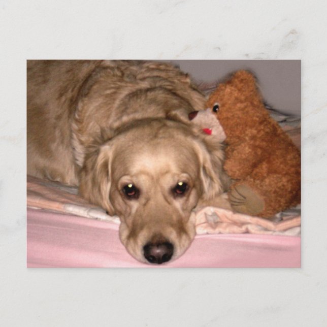 Vänskap Vykort (Framsida)