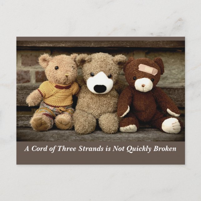 Vänskapens kraft Predikaren 4:12 Vykort (Framsida)