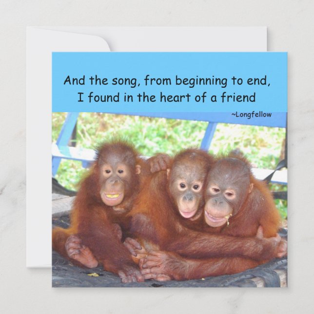 Vänskapens offert (Framsida)