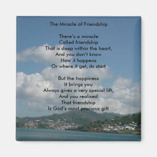 Vänskapens spegel magnet