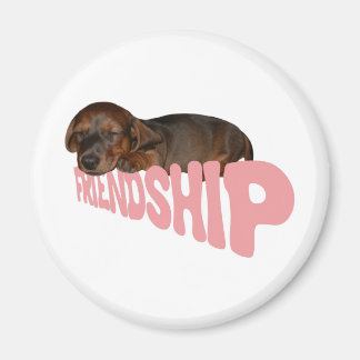 Vänskapens valp/hund är människans bästa vän, rosa magnet