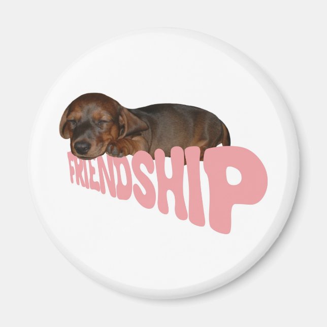 Vänskapens valp/hund är människans bästa vän, rosa magnet (Framsidan)