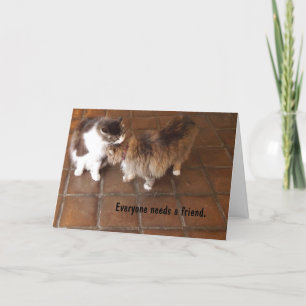 Vänskapkort, katter för persikakanjonvinodling kort