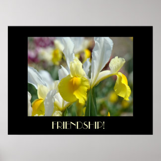 Vänskapsgåva Gula Iris Blommor Konsttryck Poster
