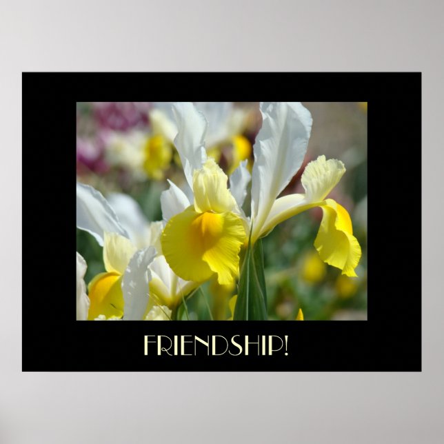 Vänskapsgåva Gula Iris Blommor Konsttryck Poster (Framsidan)