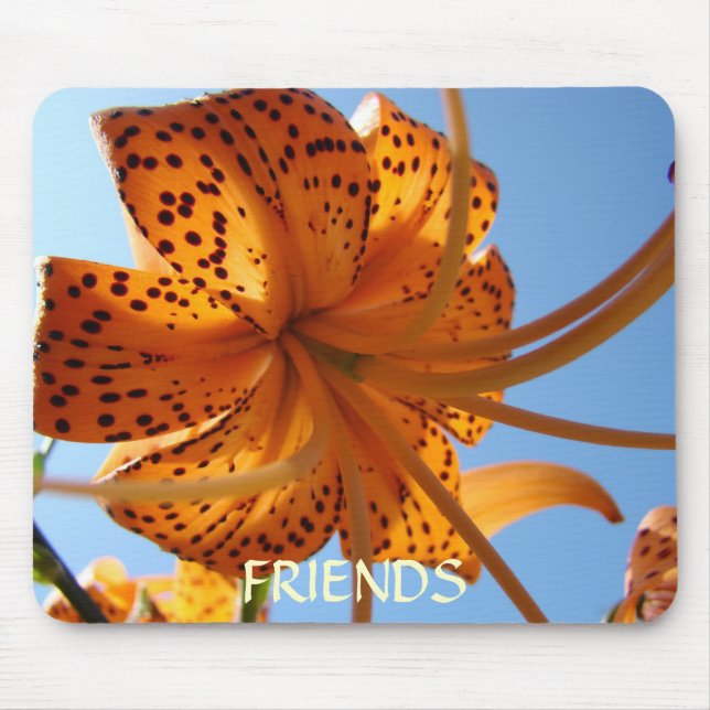 VÄNSKAPSGÅVA Musmattor Orange Tigerlily Gåva (Framsidan)