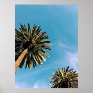 Vänster handflatan träd under blå himmel under dag poster