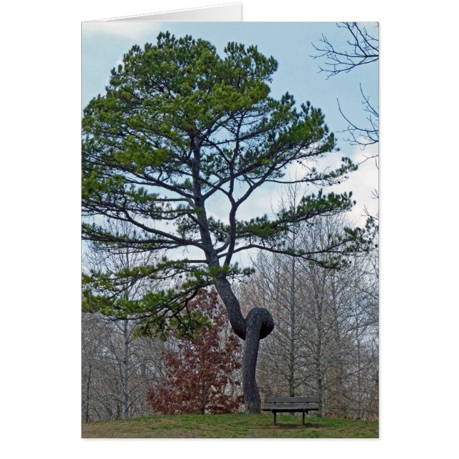 Vänster Träd Hälsningskort (Framsidan)