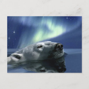 VÄNSTERKort för SWIMMING-POLAR Vykort