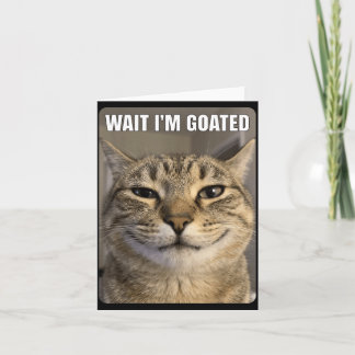 Vänta Goated Katt Rolig Dum Stirrande Katt Rolig M Kort