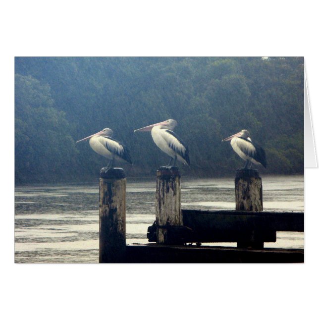 vänta hälsningskort (Framsidan Horizontal)