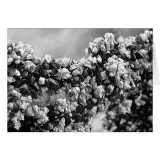 Vänta Hälsningskort