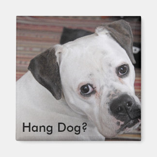 Vänta Hund? Magnet
