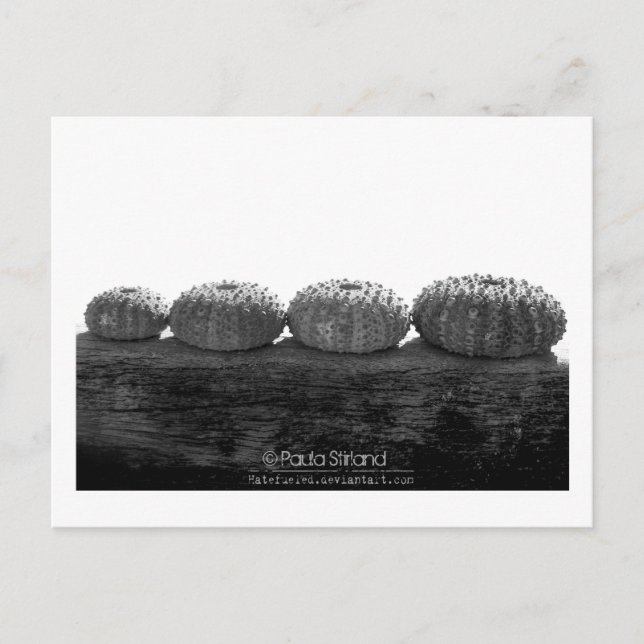 Vänta i rad vykort (Framsida)