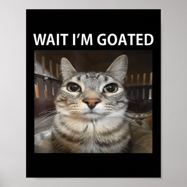 Vänta Jag Är Goated Dumma Katt Meme  Poster (Framsidan)