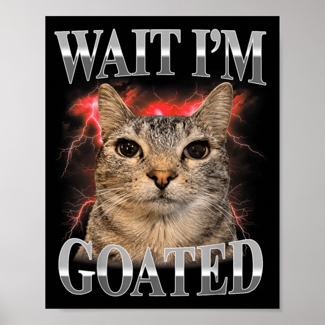 Vänta Jag Är Goated Katt Dum Rolig Katt Meme Män K Poster (Framsidan)