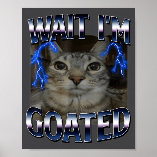 Vänta jag är Goated Katt Rolig Katt Meme Män Kvinn Poster (Framsidan)