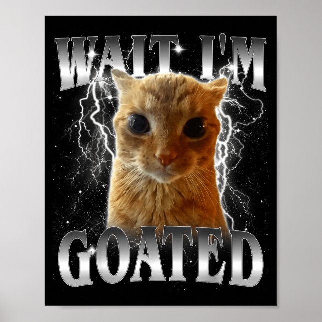 Vänta jag är goated rolig stirrande katt meme  poster (Framsidan)