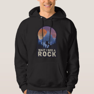 VÄNTA JAG SER EN STEN - Geologi geolog Hoodie