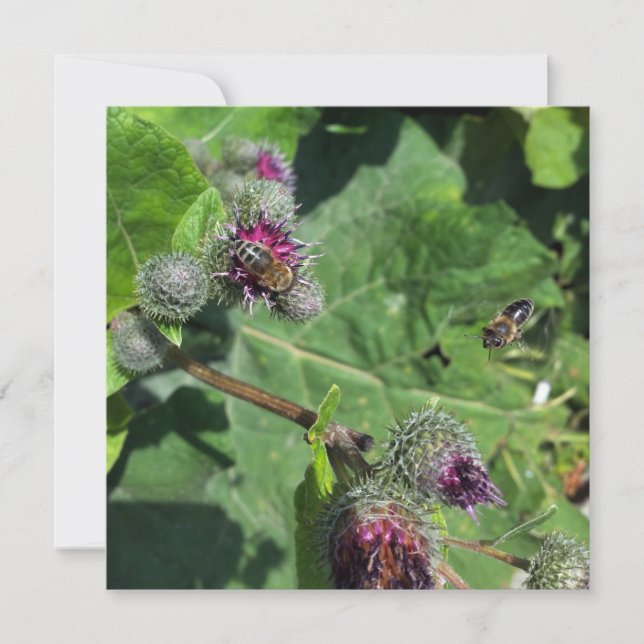 vänta på mig (Framsida)