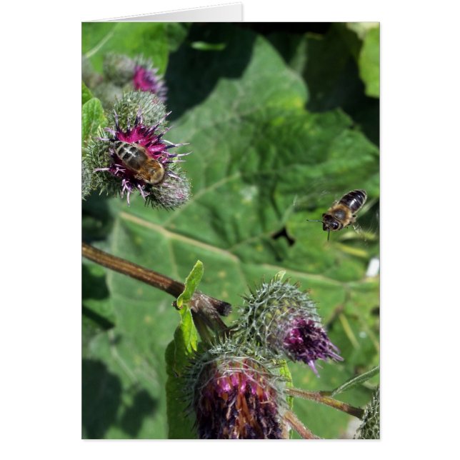 vänta på mig hälsningskort (Framsidan)