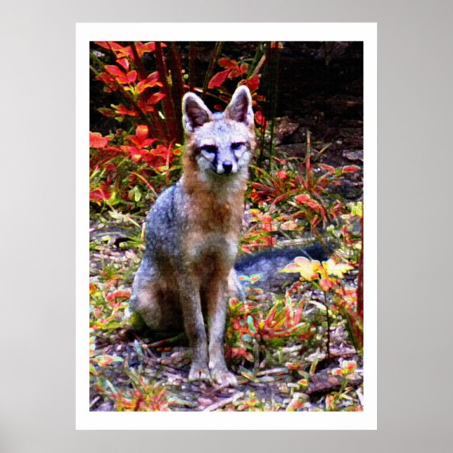 VÄNTA PÅ SANDRA POSTER (Framsidan)