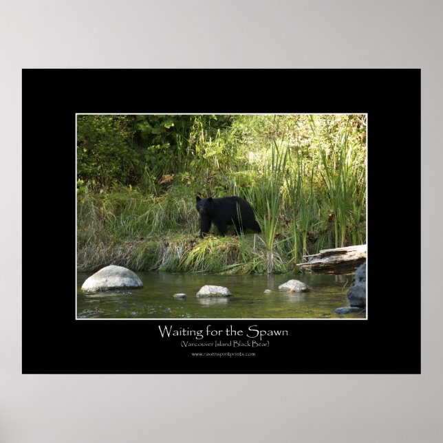 VÄNTA PÅ SPAWN-fotoutskrift Poster (Framsidan)