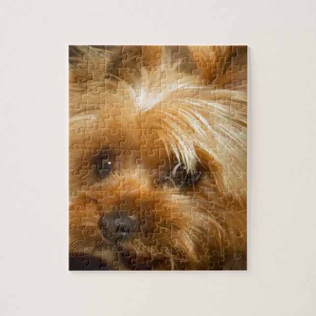 Väntan för terrier för yorkie för hund för pussel (Vertikal)