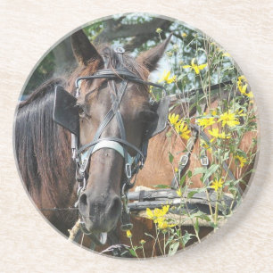 Väntande amish-häst underlägg