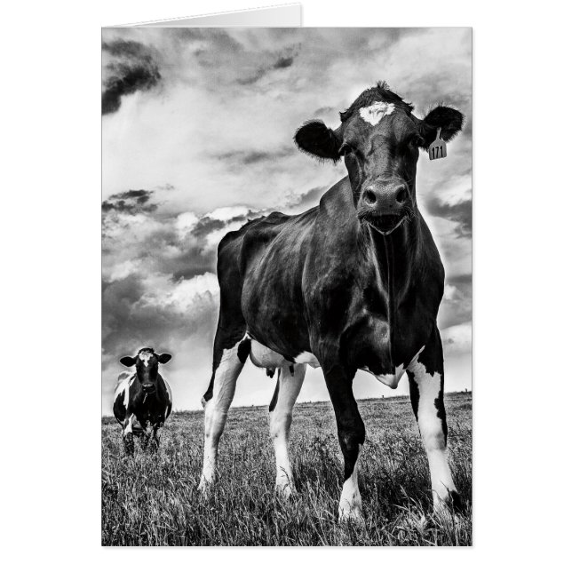 Väntande BW-skörd Hälsningskort (Framsidan)