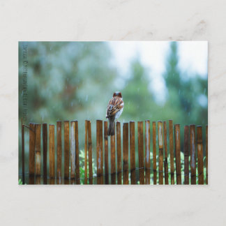 Väntande_ljus Vykort