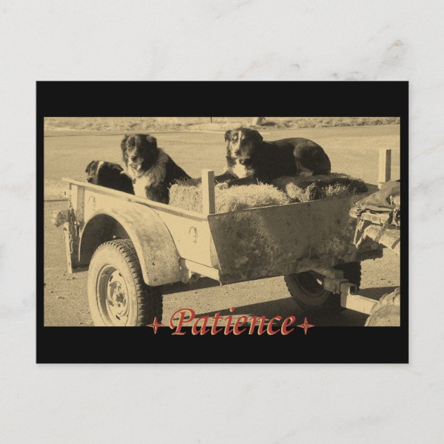 Väntande patienter vykort (Framsida)