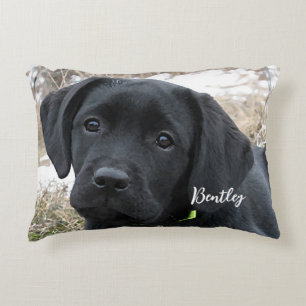 Väntande Vår - Labrador Puppy - Svart lab Prydnadskudde