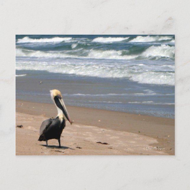 Väntande vykort (Framsida)