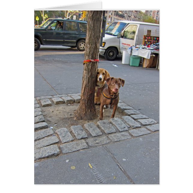 Väntar ... 5x7 hälsningskort (Framsidan)