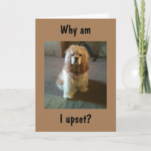 VÄNTAR "65" OCH SER FORTFARANDE "21" SÅ UPPSET! KO KORT