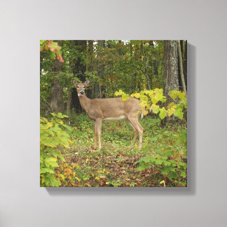 Väntar bara canvastryck