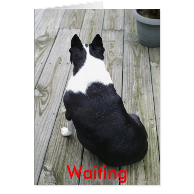 Väntar bara.. hälsningskort (Framsidan)