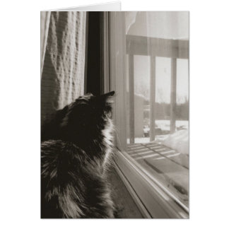 Väntar i Sol Hälsningskort