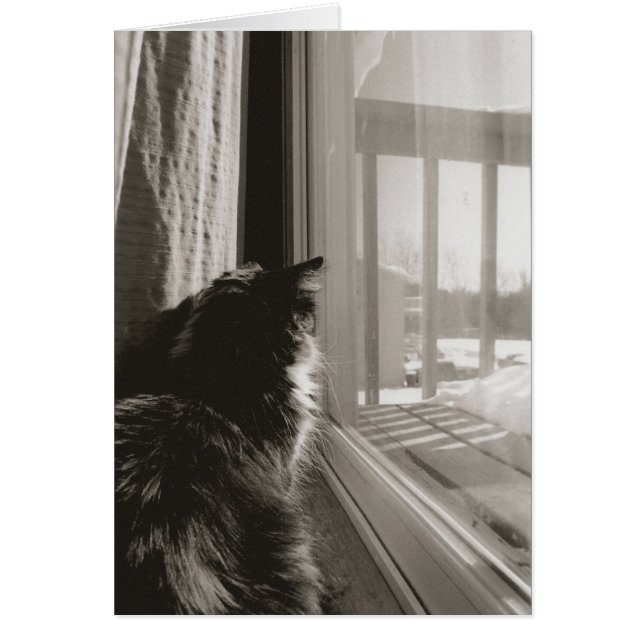 Väntar i Sol Hälsningskort (Framsidan)