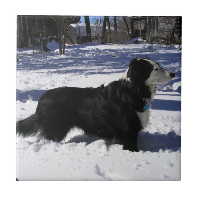 Väntar Kakelplatta (Framsidan)