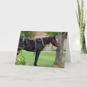 Väntar på Amish Horse Kort